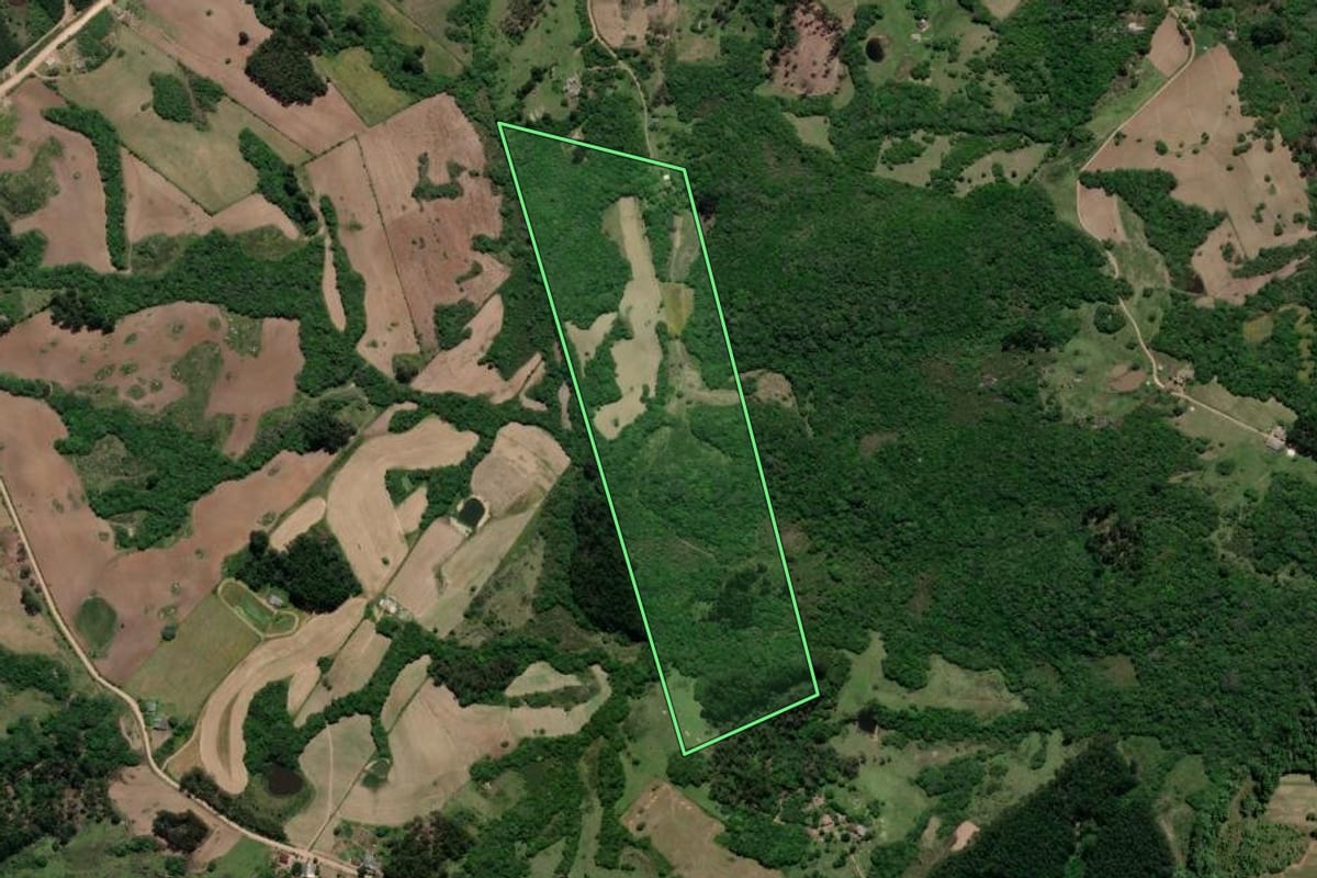 Imagem de satélite do imóvel rural em Cristal (RS), com o contorno declarado no CAR desenhado por cima.