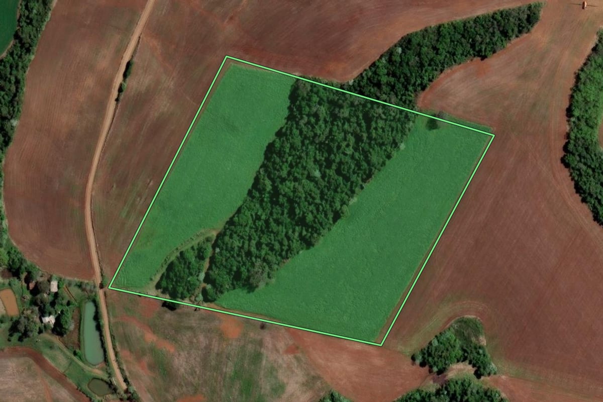Imagem de satélite do imóvel rural em Cristal do Sul (RS), com o contorno declarado no CAR desenhado por cima.