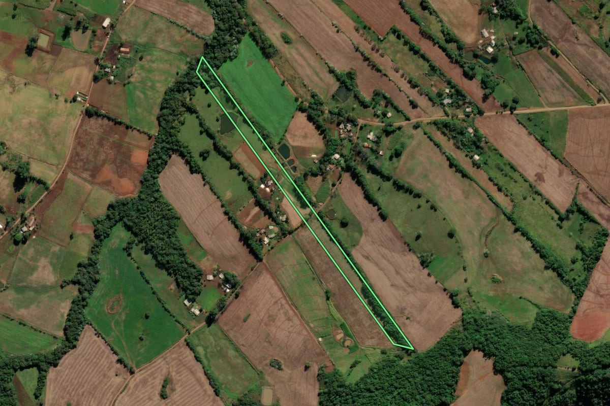 Imagem de satélite do imóvel rural em Cristal do Sul (RS), com o contorno declarado no CAR desenhado por cima.