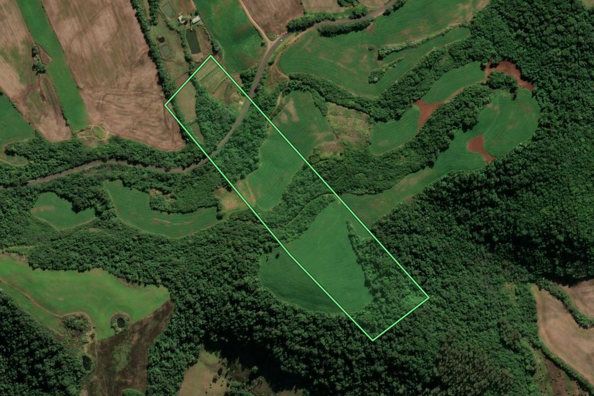 Imagem de satélite do imóvel rural em Cristal do Sul (RS), com o contorno declarado no CAR desenhado por cima.