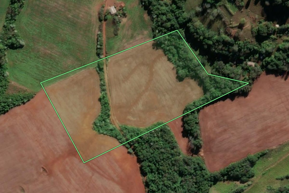 Imagem de satélite do imóvel rural em Cristal do Sul (RS), com o contorno declarado no CAR desenhado por cima.