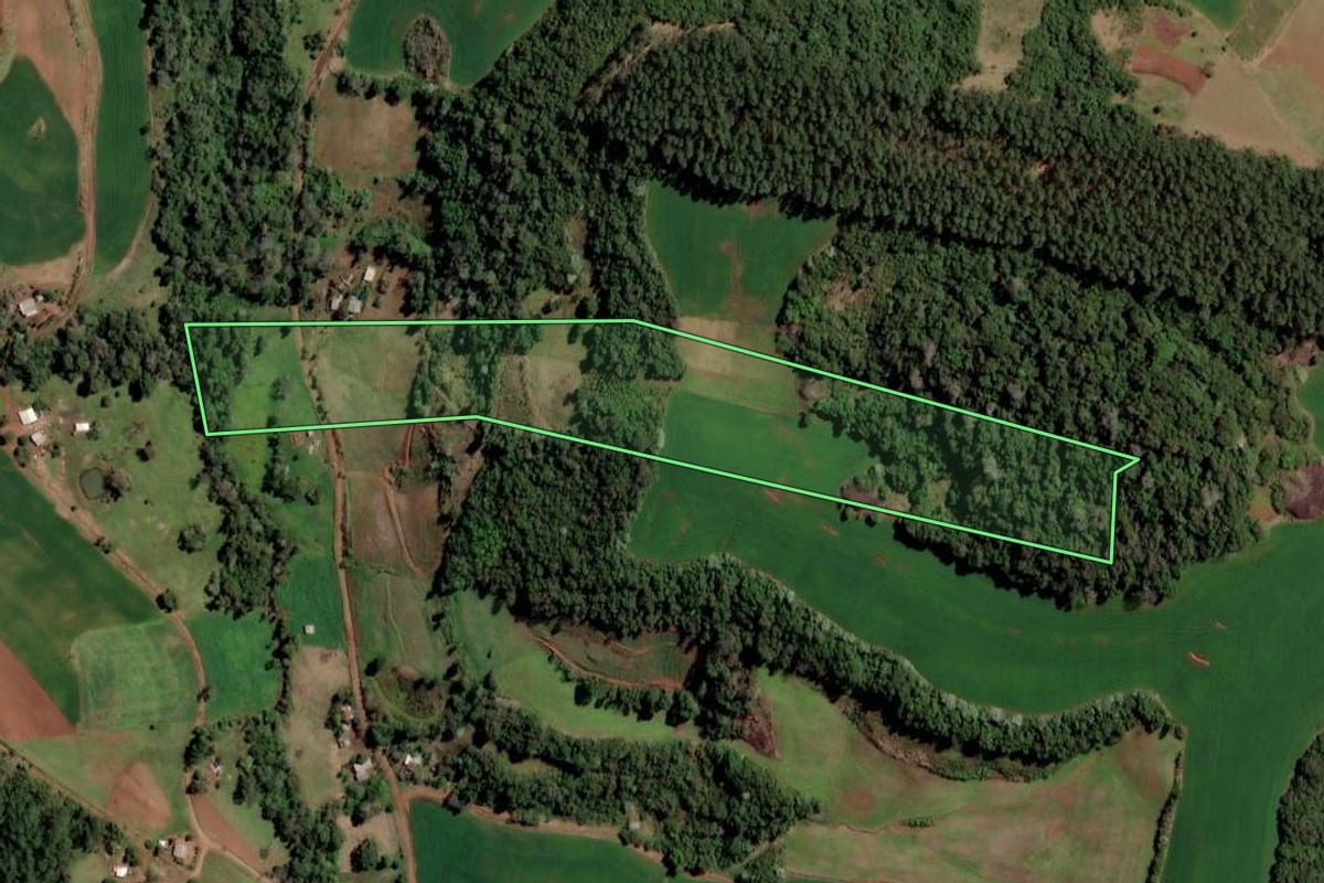 Imagem de satélite do imóvel rural em Cristal do Sul (RS), com o contorno declarado no CAR desenhado por cima.