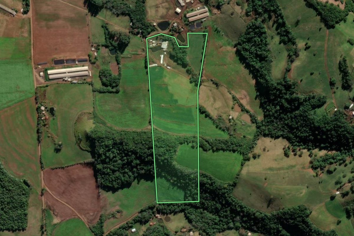 Imagem de satélite do imóvel rural em Cristal do Sul (RS), com o contorno declarado no CAR desenhado por cima.