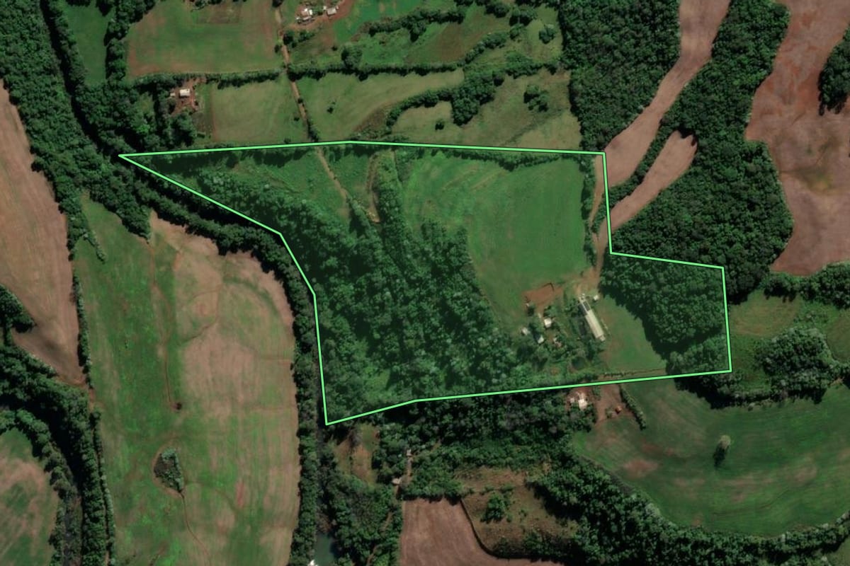 Imagem de satélite do imóvel rural em Cristal do Sul (RS), com o contorno declarado no CAR desenhado por cima.