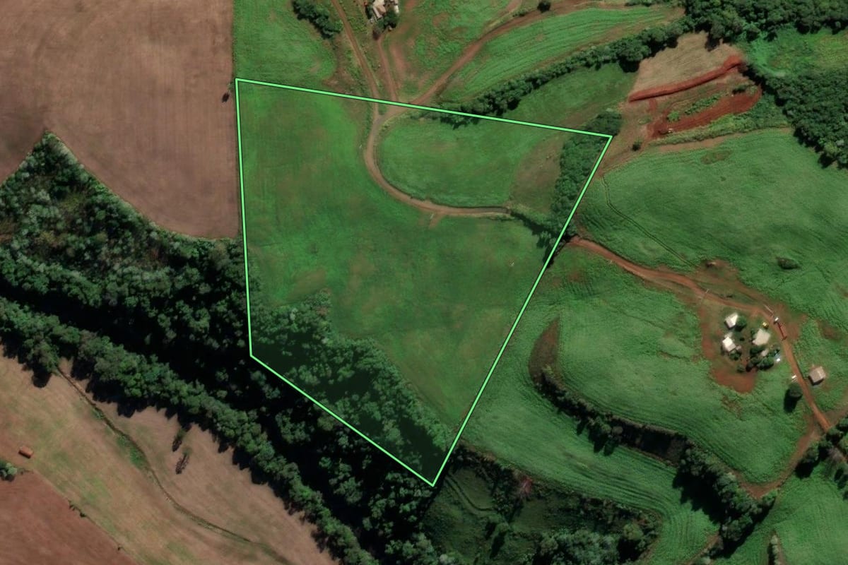 Imagem de satélite do imóvel rural em Cristal do Sul (RS), com o contorno declarado no CAR desenhado por cima.