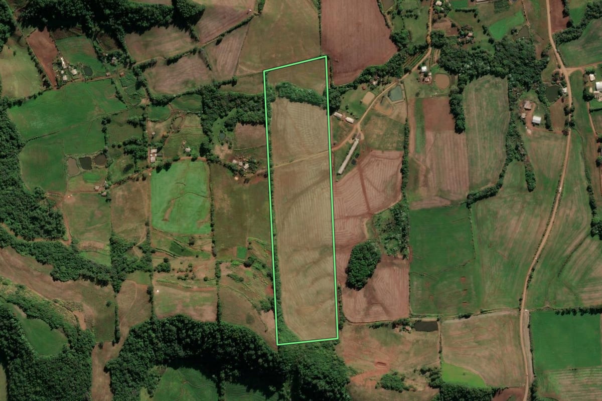 Imagem de satélite do imóvel rural em Cristal do Sul (RS), com o contorno declarado no CAR desenhado por cima.