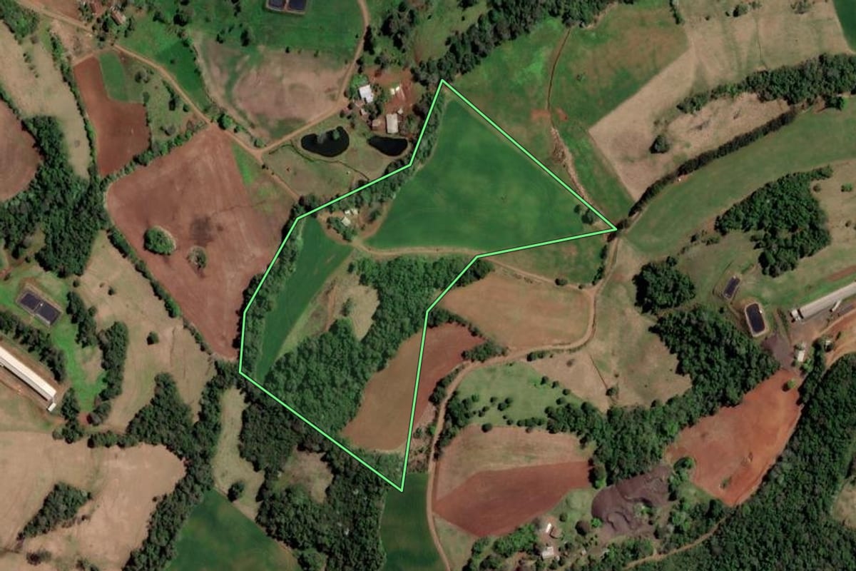 Imagem de satélite do imóvel rural em Cristal do Sul (RS), com o contorno declarado no CAR desenhado por cima.