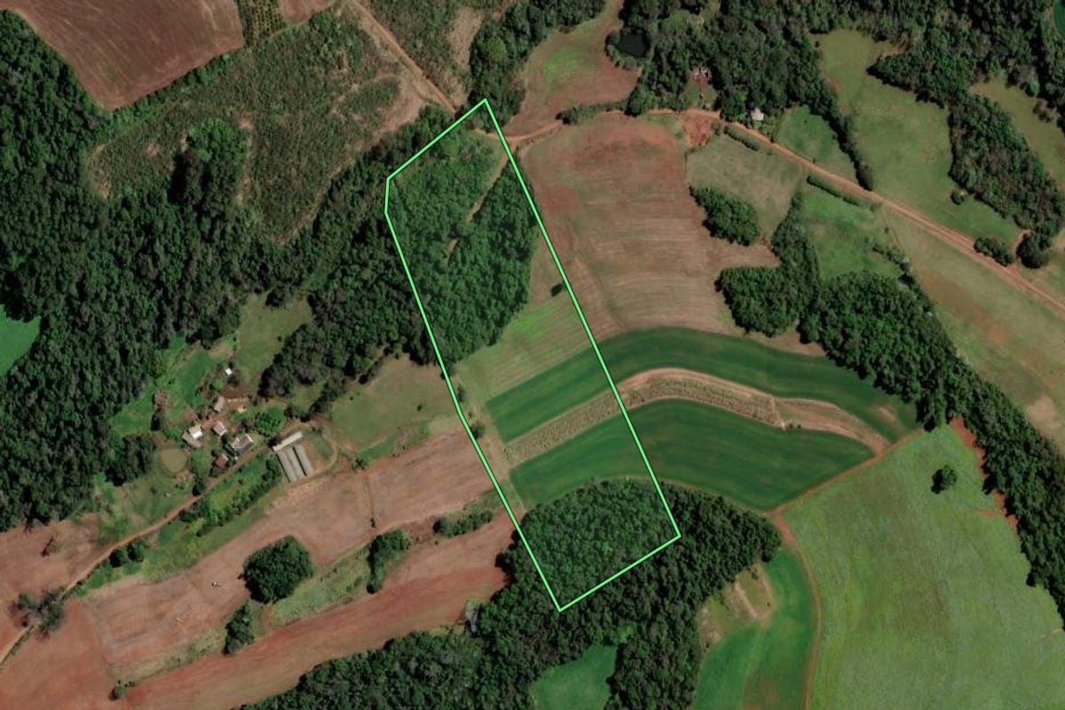 Imagem de satélite do imóvel rural em Cristal do Sul (RS), com o contorno declarado no CAR desenhado por cima.