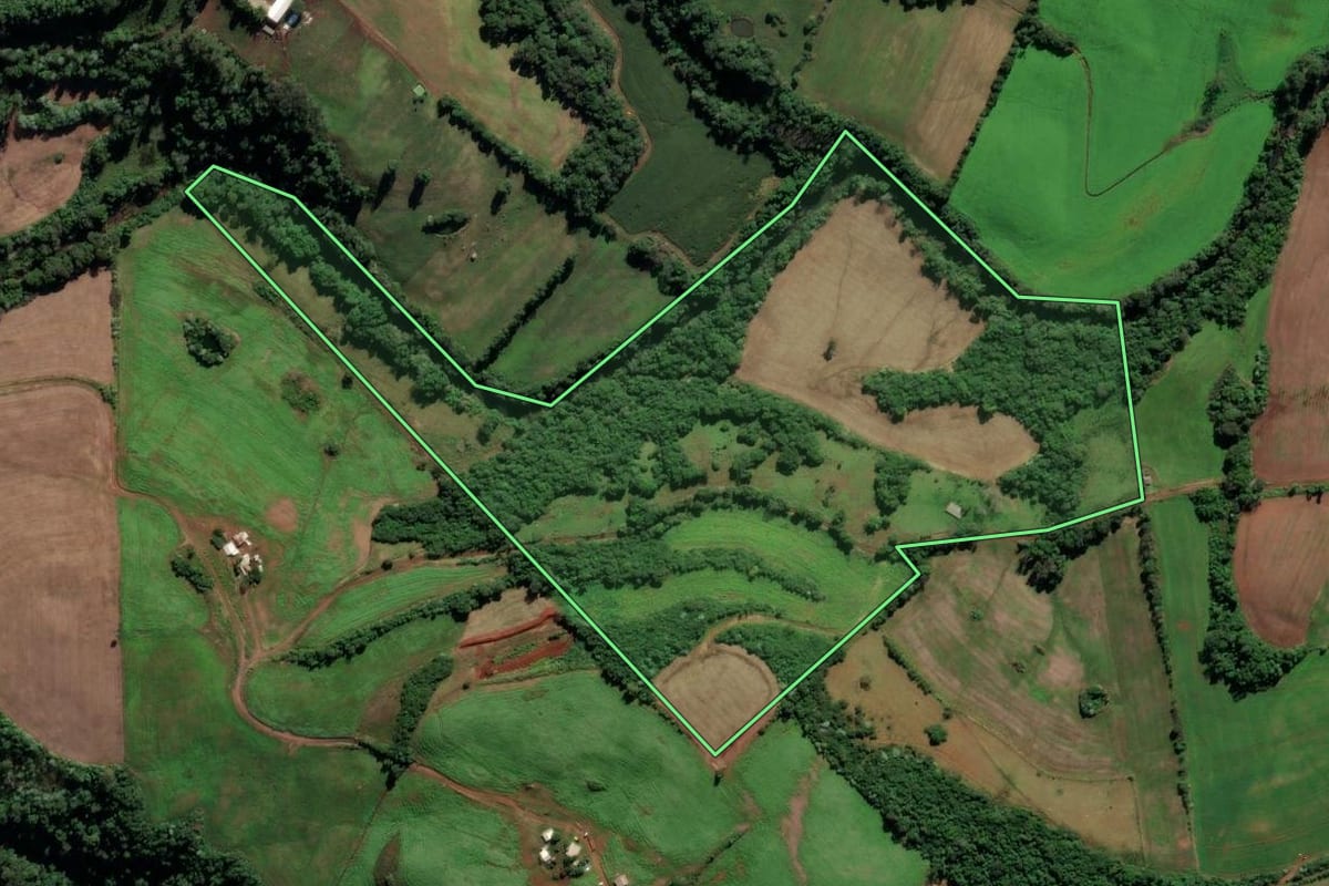 Imagem de satélite do imóvel rural em Cristal do Sul (RS), com o contorno declarado no CAR desenhado por cima.