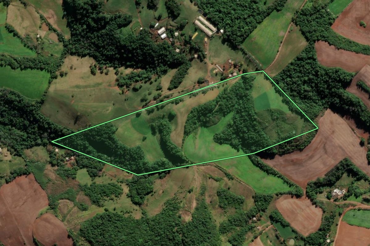 Imagem de satélite do imóvel rural em Cristal do Sul (RS), com o contorno declarado no CAR desenhado por cima.