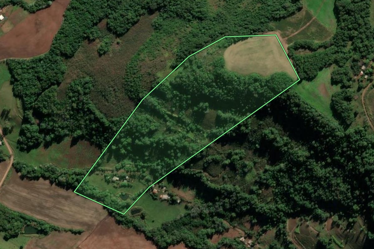 Imagem de satélite do imóvel rural em Cristal do Sul (RS), com o contorno declarado no CAR desenhado por cima.