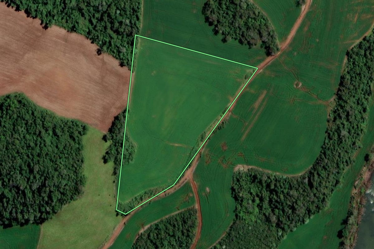 Imagem de satélite do imóvel rural em Cristal do Sul (RS), com o contorno declarado no CAR desenhado por cima.