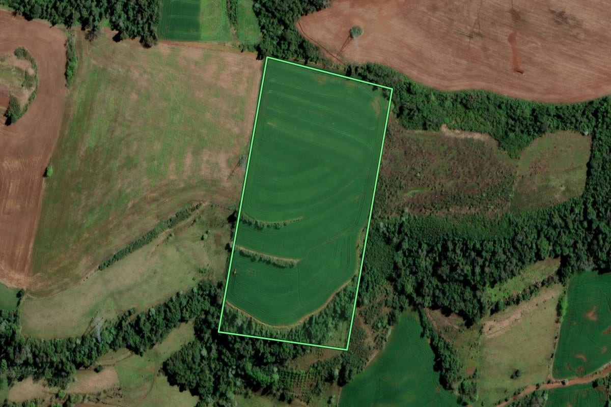 Imagem de satélite do imóvel rural em Cristal do Sul (RS), com o contorno declarado no CAR desenhado por cima.