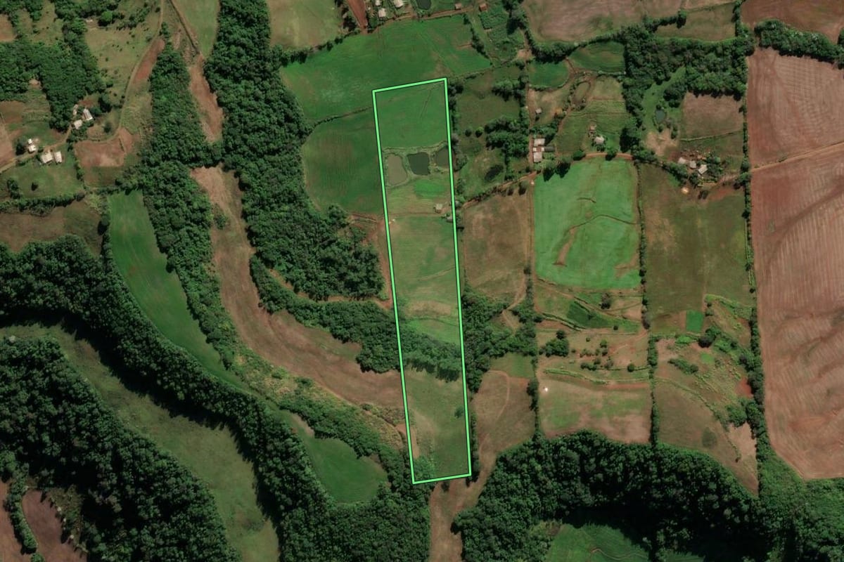 Imagem de satélite do imóvel rural em Cristal do Sul (RS), com o contorno declarado no CAR desenhado por cima.