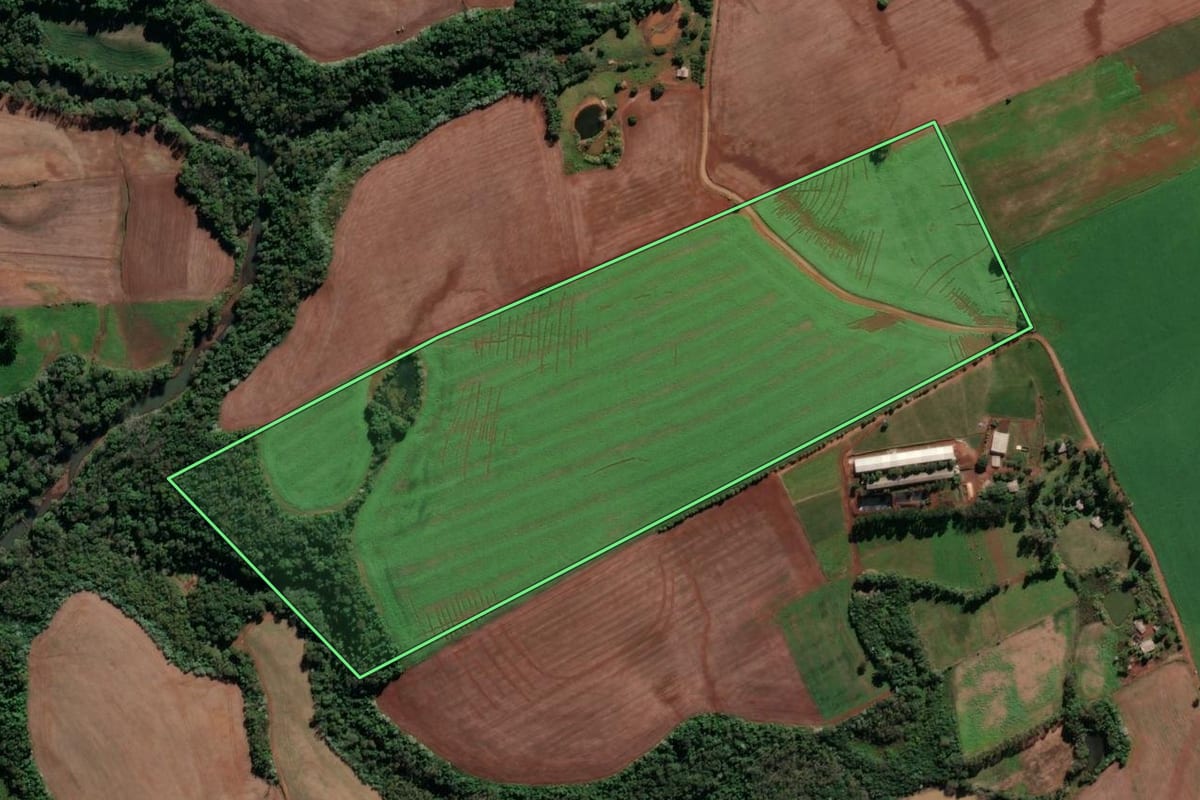 Imagem de satélite do imóvel rural em Cristal do Sul (RS), com o contorno declarado no CAR desenhado por cima.