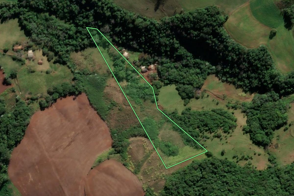 Imagem de satélite do imóvel rural em Cristal do Sul (RS), com o contorno declarado no CAR desenhado por cima.
