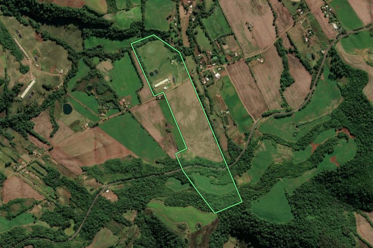 Imagem de satélite do imóvel rural em Cristal do Sul (RS), com o contorno declarado no CAR desenhado por cima.