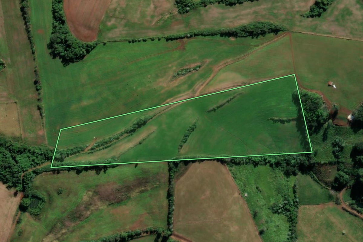 Imagem de satélite do imóvel rural em Cristal do Sul (RS), com o contorno declarado no CAR desenhado por cima.