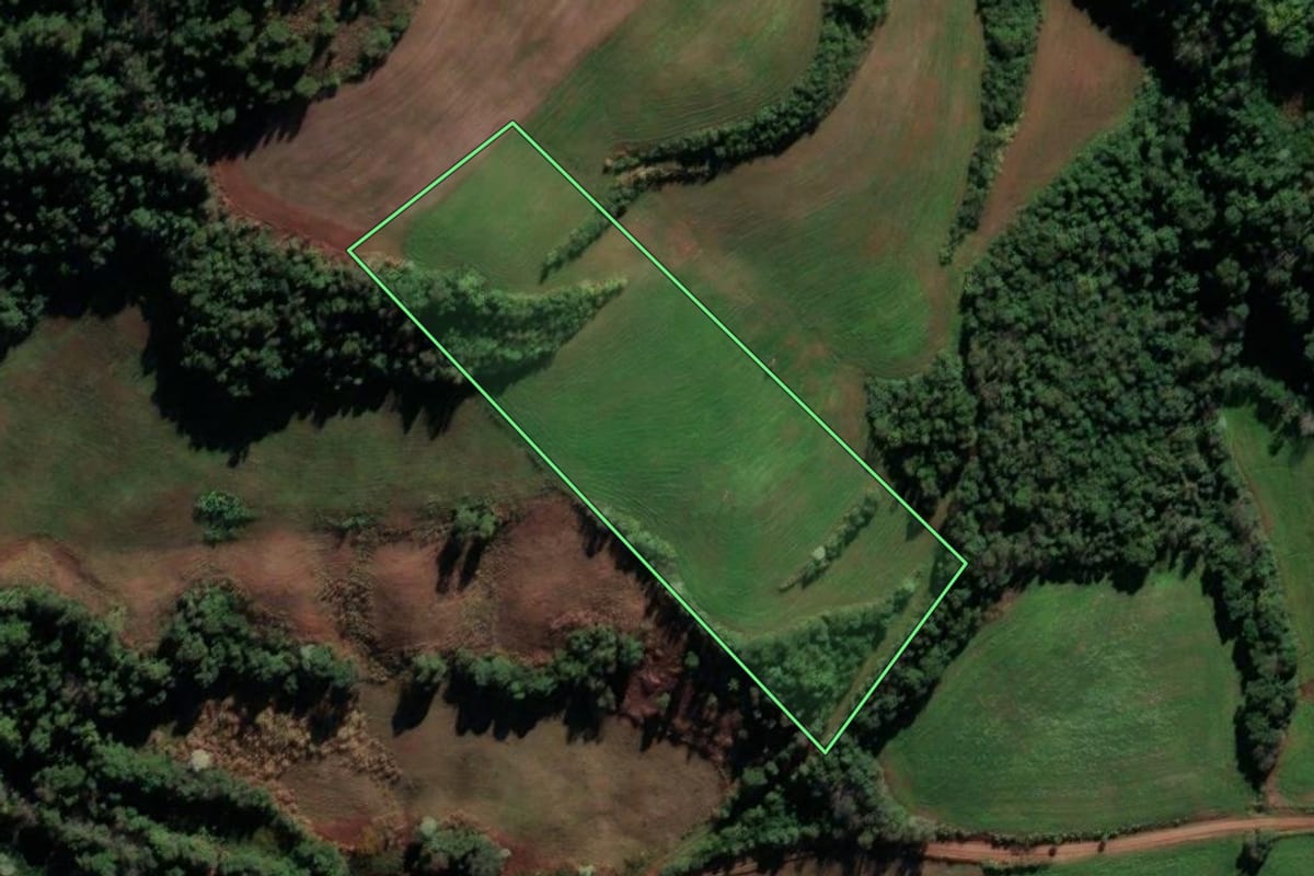 Imagem de satélite do imóvel rural em Cristal do Sul (RS), com o contorno declarado no CAR desenhado por cima.