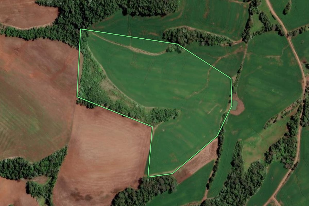 Imagem de satélite do imóvel rural em Cristal do Sul (RS), com o contorno declarado no CAR desenhado por cima.