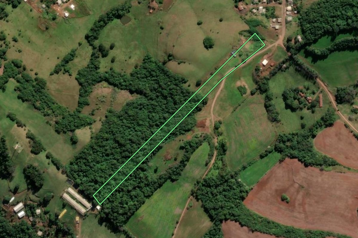Imagem de satélite do imóvel rural em Cristal do Sul (RS), com o contorno declarado no CAR desenhado por cima.