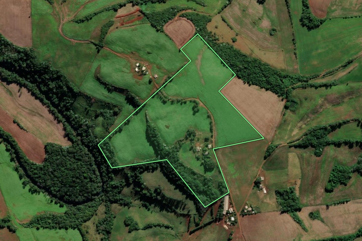 Imagem de satélite do imóvel rural em Cristal do Sul (RS), com o contorno declarado no CAR desenhado por cima.