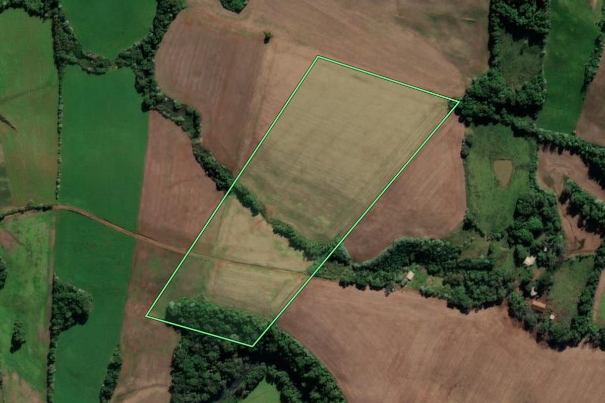 Imagem de satélite do imóvel rural em Cristal do Sul (RS), com o contorno declarado no CAR desenhado por cima.