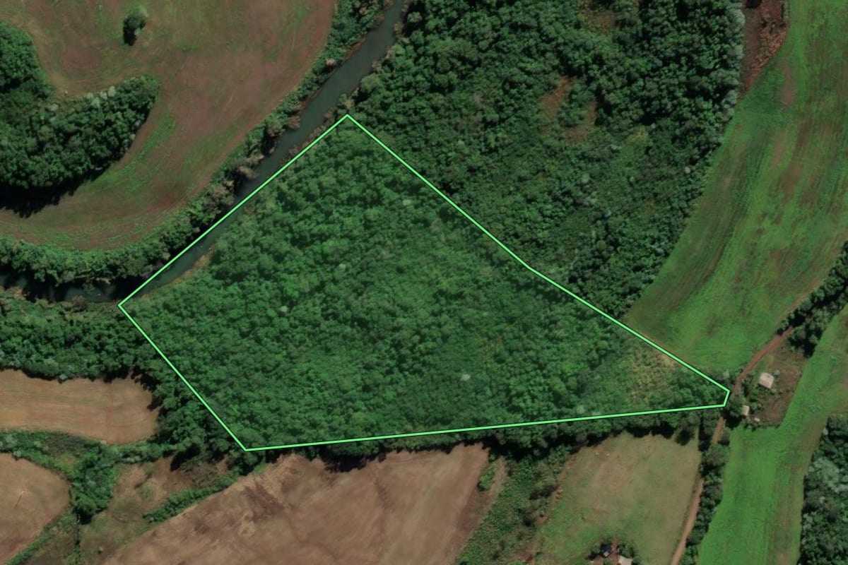Imagem de satélite do imóvel rural em Cristal do Sul (RS), com o contorno declarado no CAR desenhado por cima.
