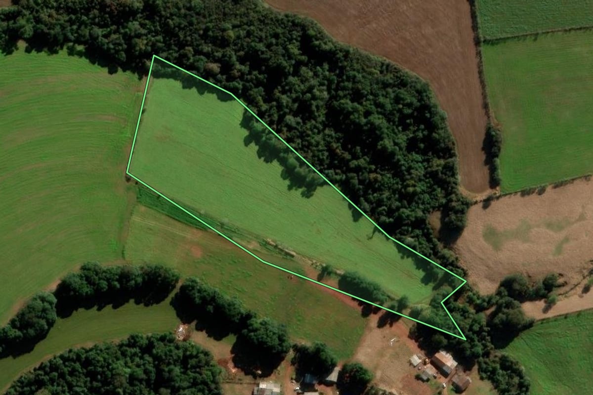 Imagem de satélite do imóvel rural em Cruz Alta (RS), com o contorno declarado no CAR desenhado por cima.