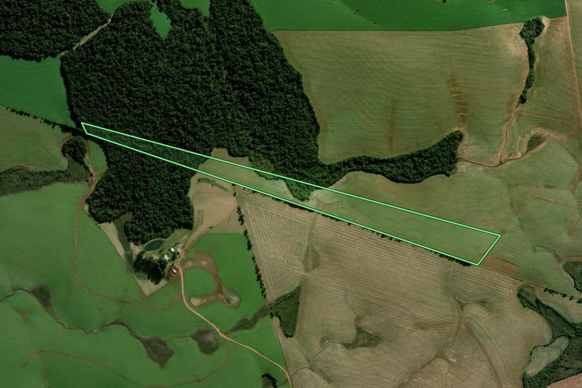 Imagem de satélite do imóvel rural em Cruz Alta (RS), com o contorno declarado no CAR desenhado por cima.