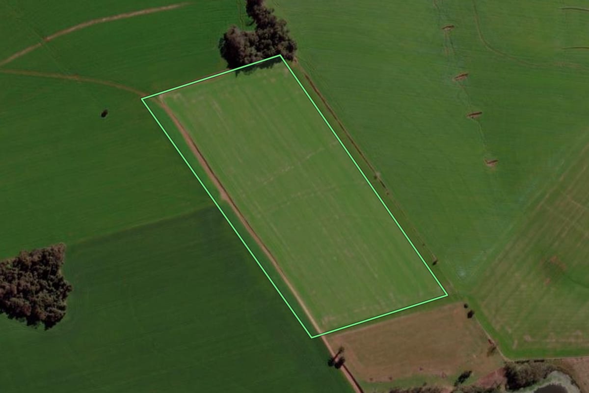 Imagem de satélite do imóvel rural em Cruz Alta (RS), com o contorno declarado no CAR desenhado por cima.