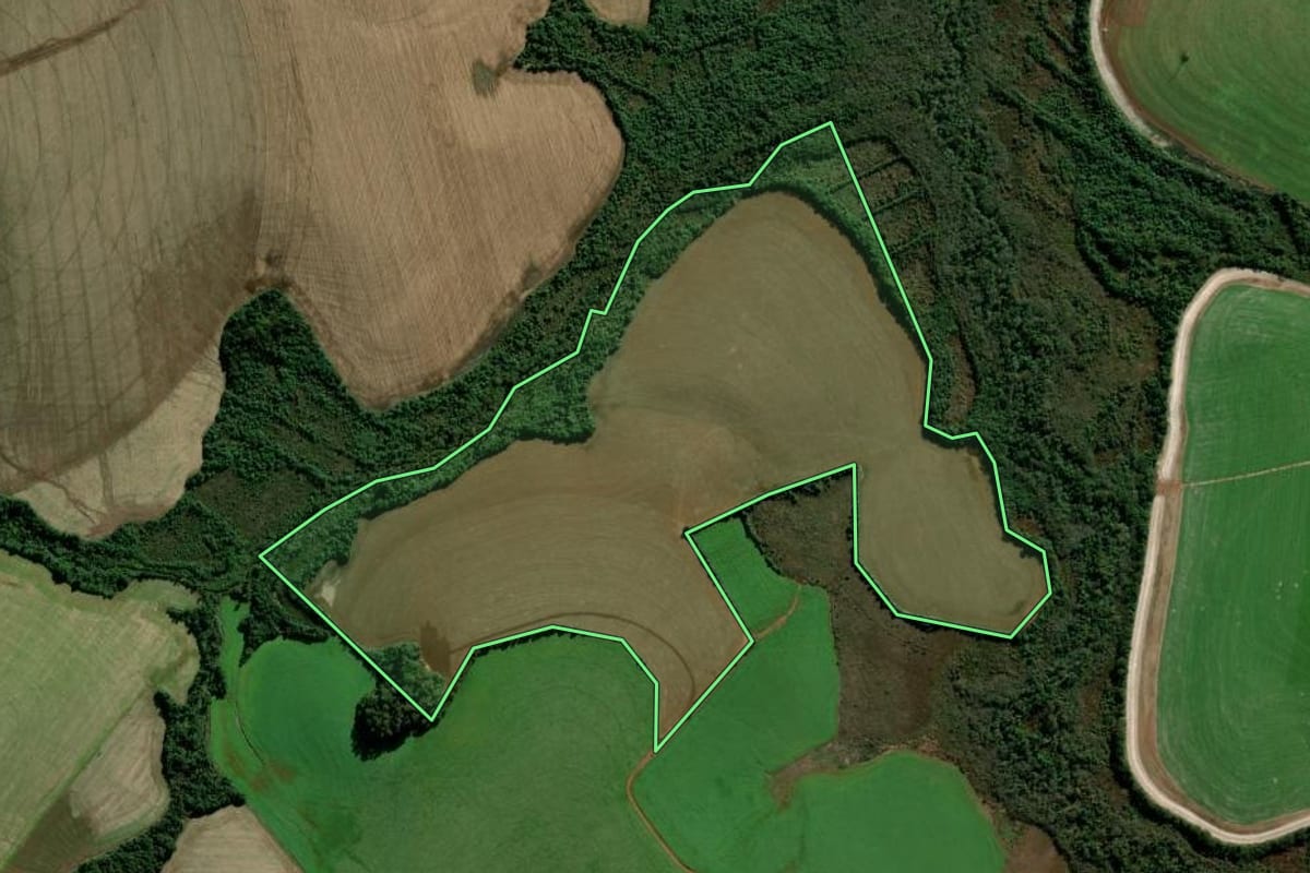 Imagem de satélite do imóvel rural em Cruz Alta (RS), com o contorno declarado no CAR desenhado por cima.