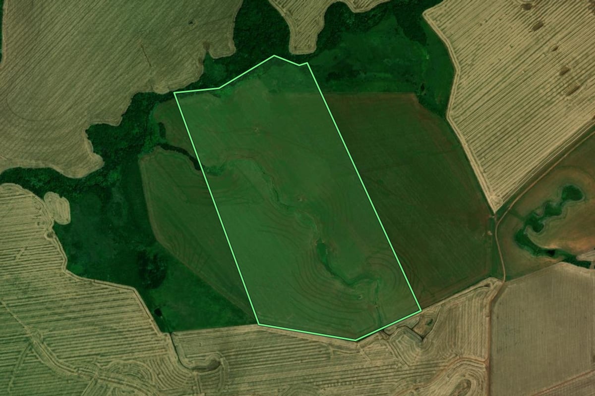 Imagem de satélite do imóvel rural em Cruz Alta (RS), com o contorno declarado no CAR desenhado por cima.
