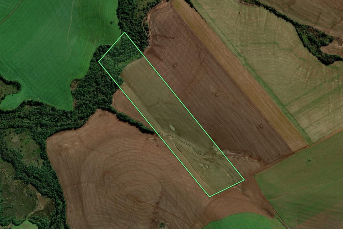 Imagem de satélite do imóvel rural em Cruz Alta (RS), com o contorno declarado no CAR desenhado por cima.