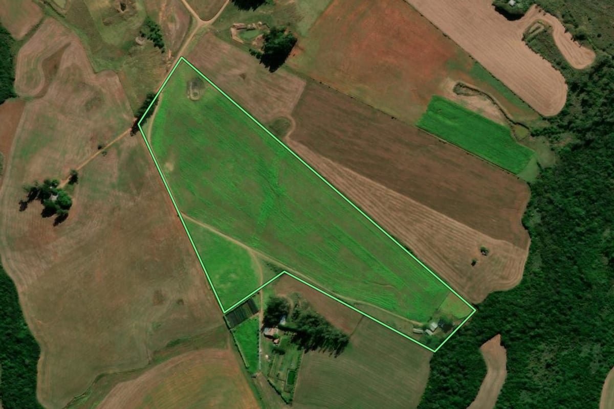 Imagem de satélite do imóvel rural em Cruz Alta (RS), com o contorno declarado no CAR desenhado por cima.