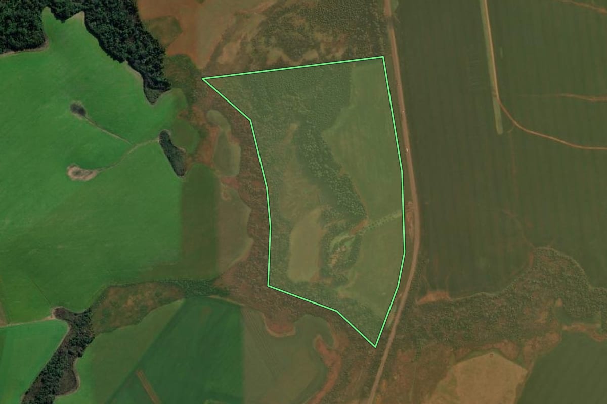 Imagem de satélite do imóvel rural em Cruz Alta (RS), com o contorno declarado no CAR desenhado por cima.