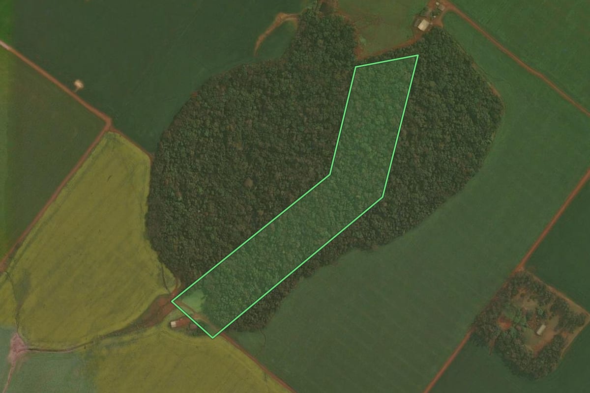 Imagem de satélite do imóvel rural em Cruz Alta (RS), com o contorno declarado no CAR desenhado por cima.