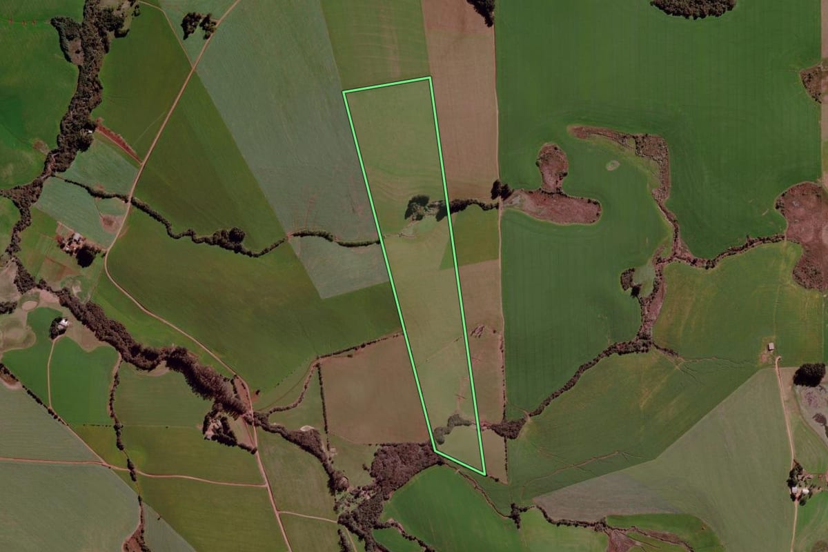 Imagem de satélite do imóvel rural em Cruz Alta (RS), com o contorno declarado no CAR desenhado por cima.