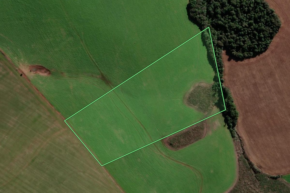 Imagem de satélite do imóvel rural em Cruz Alta (RS), com o contorno declarado no CAR desenhado por cima.