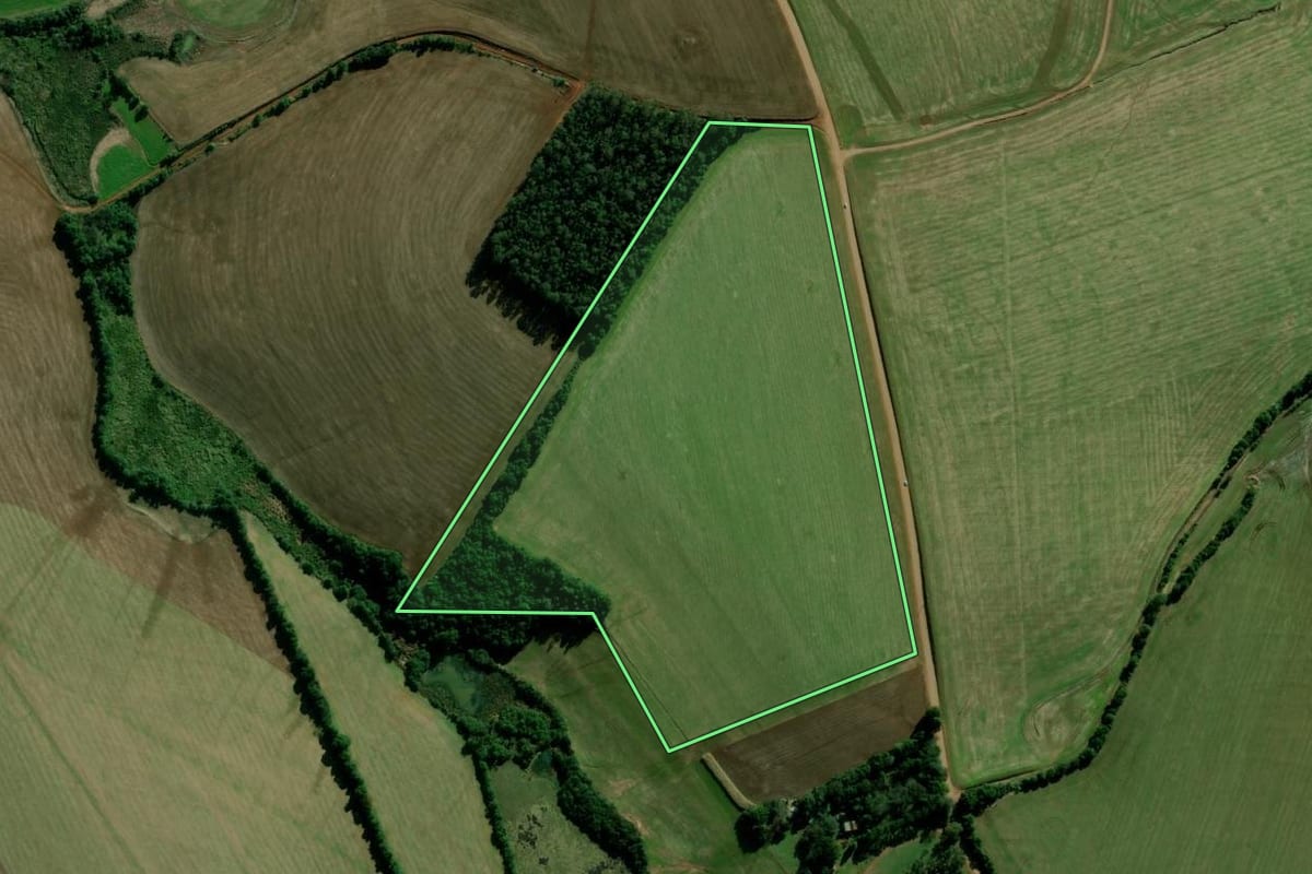 Imagem de satélite do imóvel rural em Cruz Alta (RS), com o contorno declarado no CAR desenhado por cima.