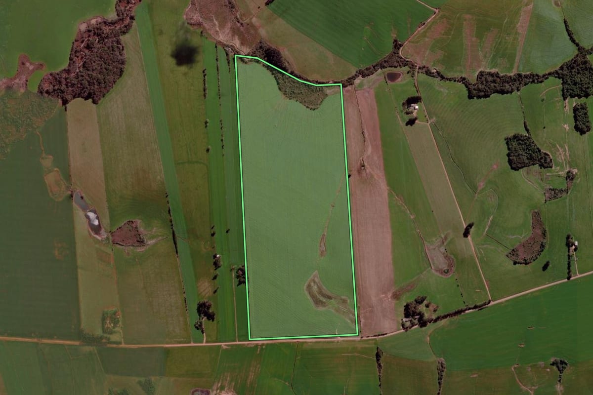 Imagem de satélite do imóvel rural em Cruz Alta (RS), com o contorno declarado no CAR desenhado por cima.