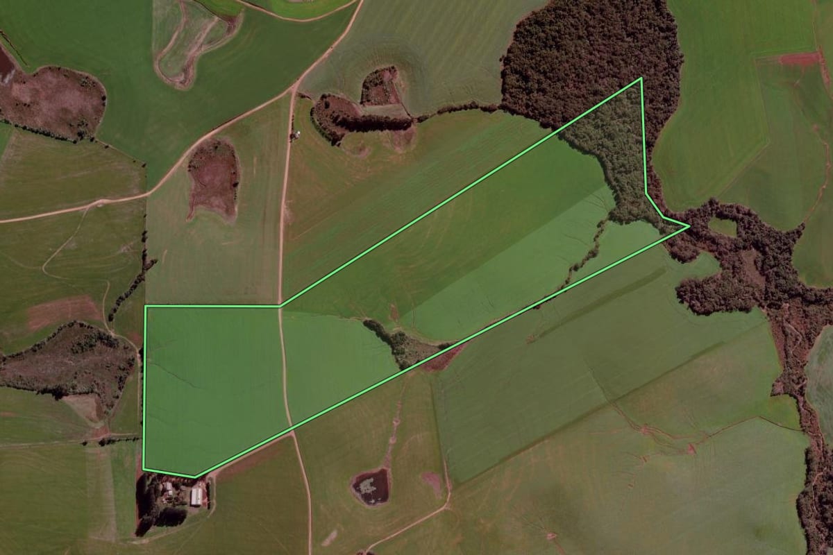 Imagem de satélite do imóvel rural em Cruz Alta (RS), com o contorno declarado no CAR desenhado por cima.
