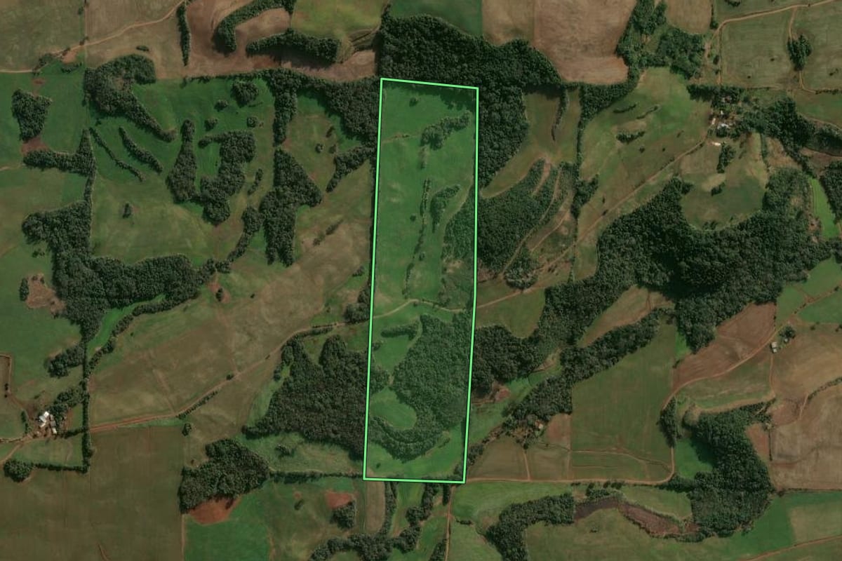 Imagem de satélite do imóvel rural em Cruzaltense (RS), com o contorno declarado no CAR desenhado por cima.