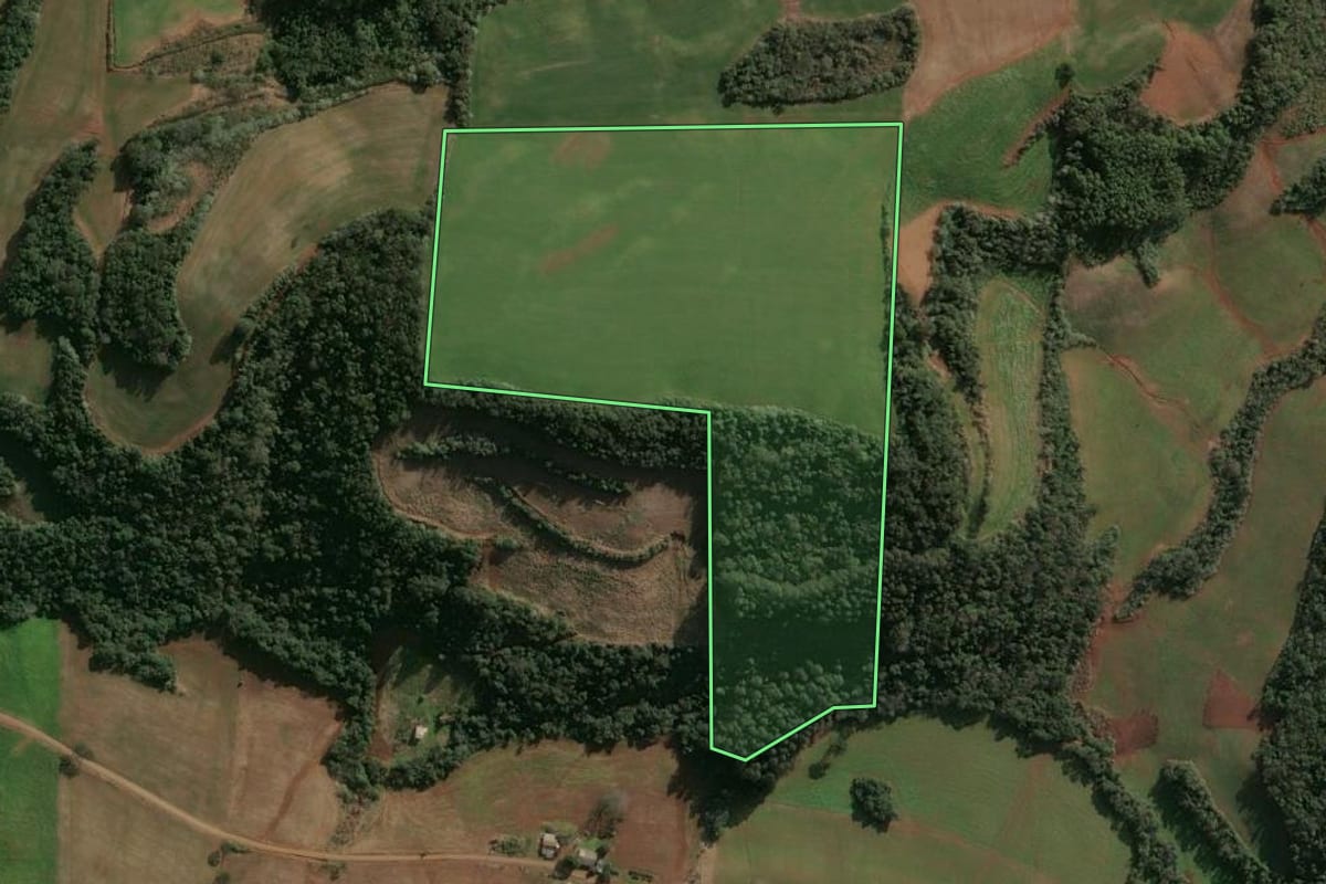 Imagem de satélite do imóvel rural em Cruzaltense (RS), com o contorno declarado no CAR desenhado por cima.