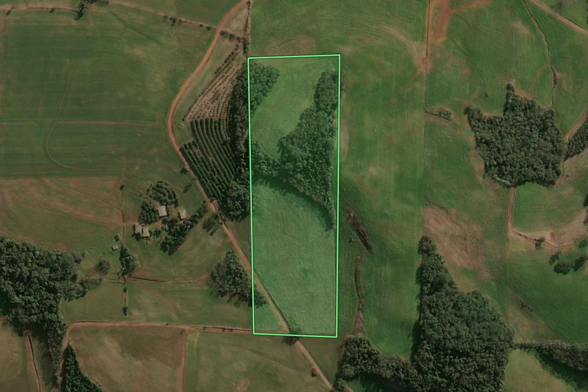 Imagem de satélite do imóvel rural em Cruzaltense (RS), com o contorno declarado no CAR desenhado por cima.