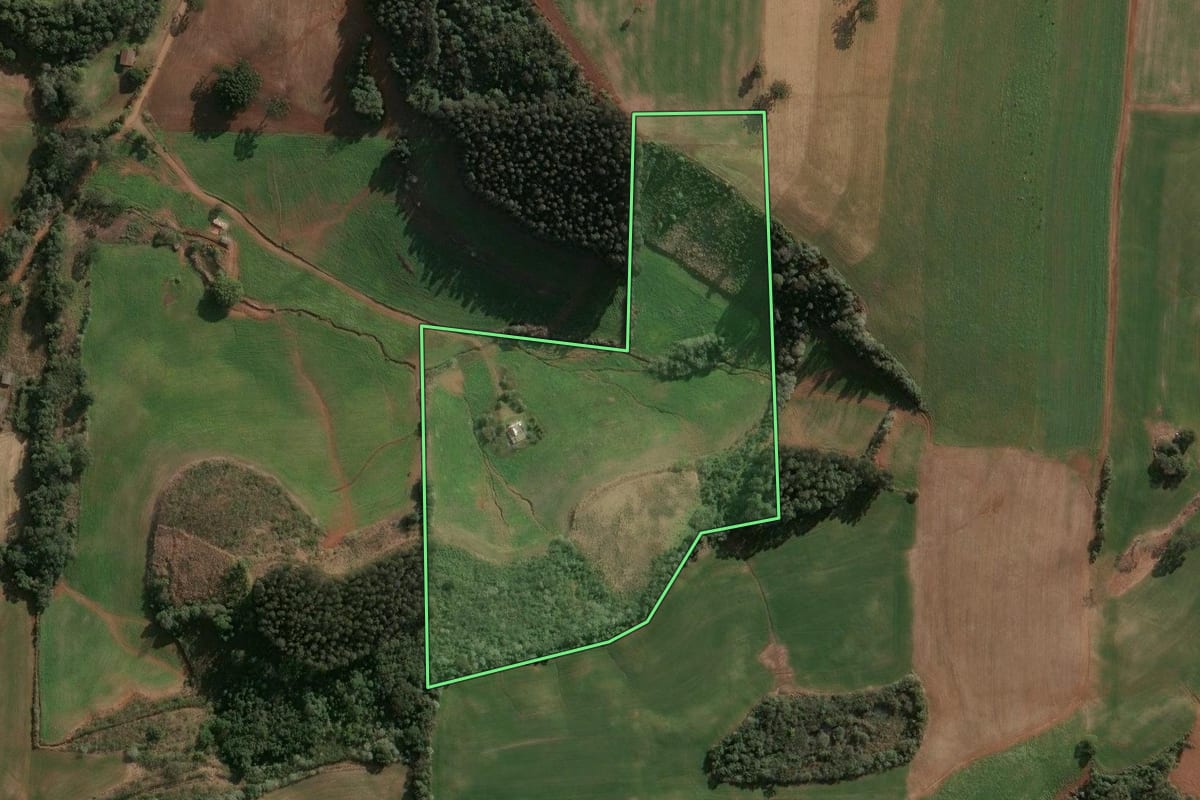 Imagem de satélite do imóvel rural em Cruzaltense (RS), com o contorno declarado no CAR desenhado por cima.