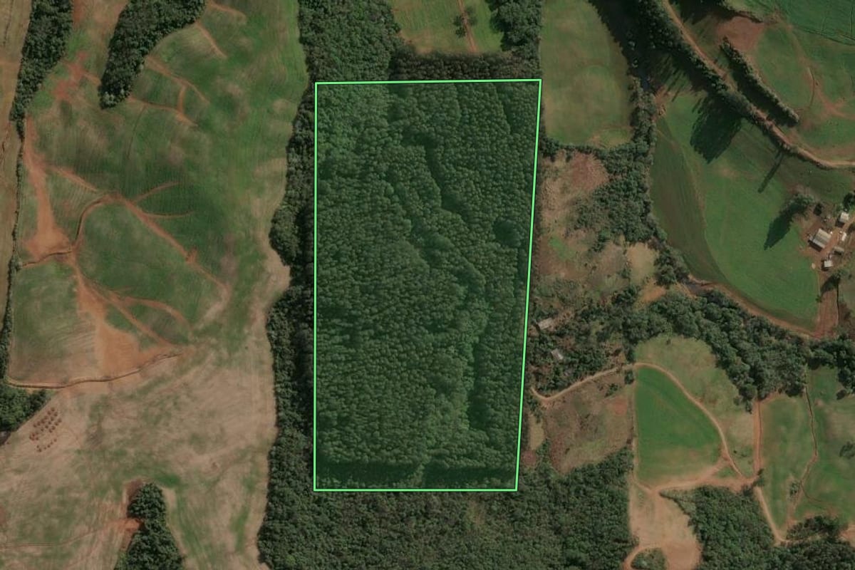 Imagem de satélite do imóvel rural em Cruzaltense (RS), com o contorno declarado no CAR desenhado por cima.