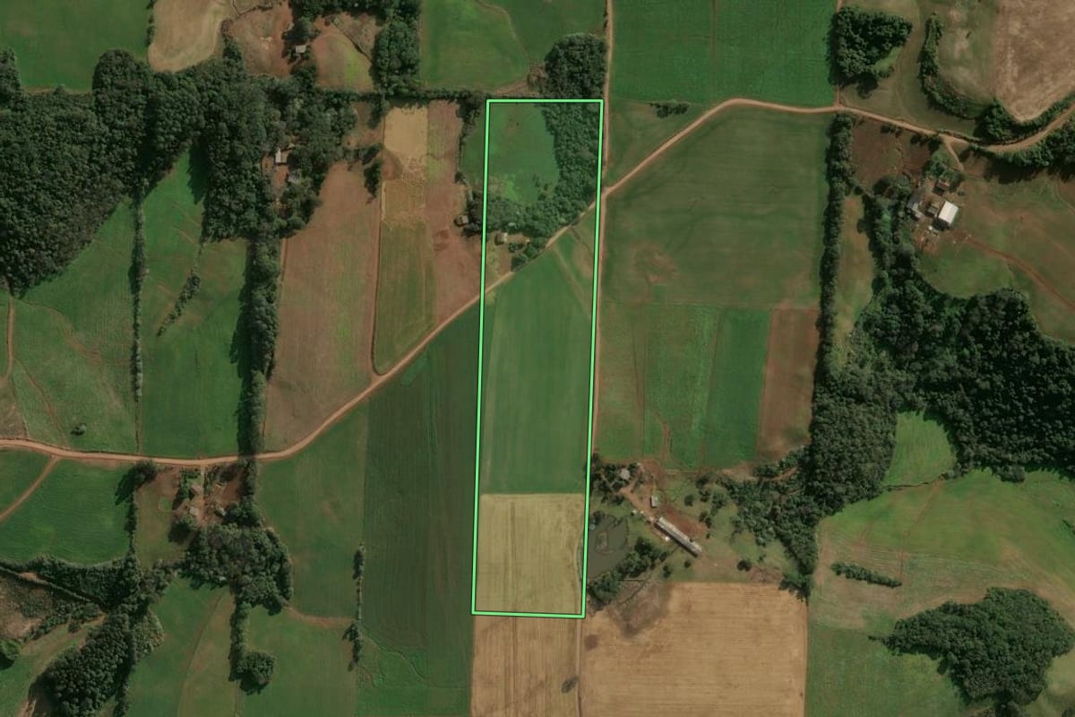 Imagem de satélite do imóvel rural em Cruzaltense (RS), com o contorno declarado no CAR desenhado por cima.