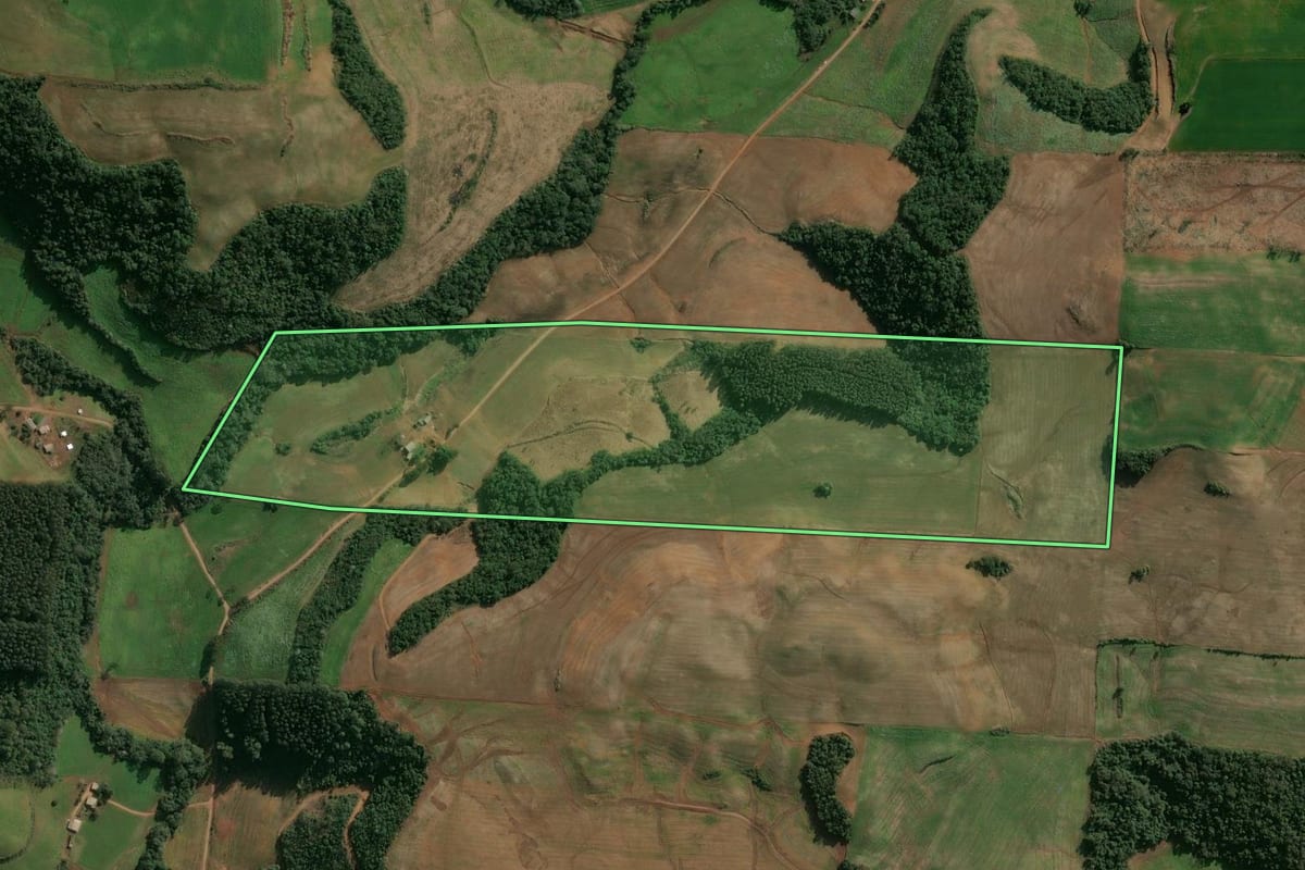 Imagem de satélite do imóvel rural em Cruzaltense (RS), com o contorno declarado no CAR desenhado por cima.