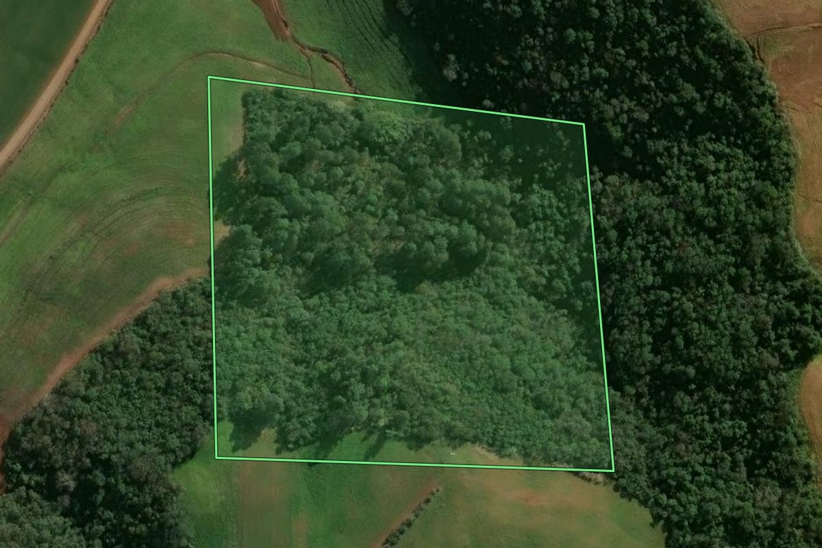 Imagem de satélite do imóvel rural em Cruzaltense (RS), com o contorno declarado no CAR desenhado por cima.